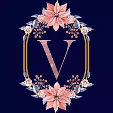 v images hd